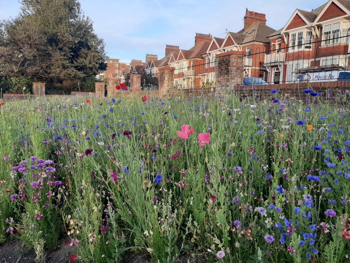 Bed and Breakfast Coastal Chic Bexhill-on-Sea Екстер'єр фото
